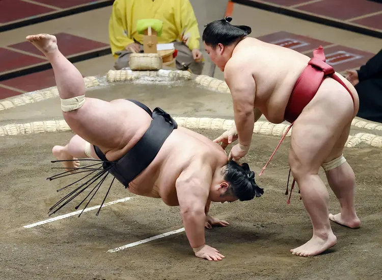 Sumo güreşi