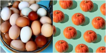 Bilmekte Fayda Var! Yiyeceklerin Taze Olup Olmadığını Anlamanın 10 Pratik Yolu