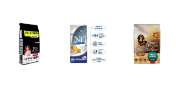 Sadık Dostlarımızı En Doğru Şekilde Beslemek İçin: En İyi Yetişkin Köpek Mamaları