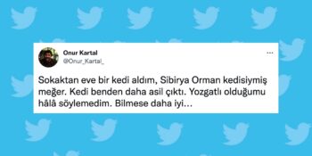 Okurken Keyfinizi Yerine Getirecek Haftanın En Güzel 34 Tweeti