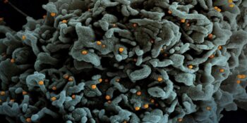 Delmicron: Yeni Bir Varyant Mı? Delmicron Hakkında Bilmeniz Gerekenler