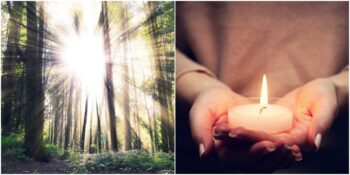 Hami Varlıklar: Hayatta En Az Bir Kere De Olsa Karşılaşacağımız 9 Rehber Varlık