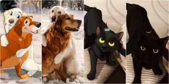 Sevimli Evcil Hayvanları Disney Karakterlerine Dönüştüren Sanatçı Isa Bredt ve 15 Harika Çalışması