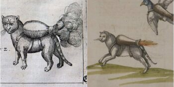 Orta Çağ Döneminin Karanlık Yüzü: Savaşlarda Mühimmat Olarak Kullanılan “Roket Kediler”