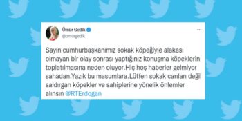 Cumhurbaşkanı Recep Tayyip Erdoğan’ın Sokak Hayvanları İçin Barınak Talimatı Vermesi Sosyal Medyanın Gündeminde