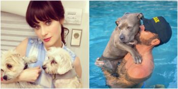 Barınaklardan Hayvan Sahiplenmeleriyle Gözlerimizden Kalpler Çıkartan 11 Ünlü İsim