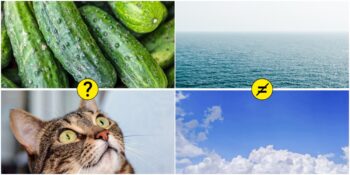 Kediler, Gökyüzü ve Dahası: İnsanların Google’a Sordukları En Popüler 7 Soru