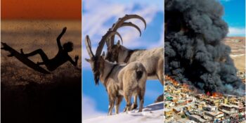 Geçen Haftanın En Çok Beğenilen Ve Paylaşılan 21 Fotoğrafı