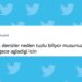 Okurken Keyfinizi Yerine Getirecek Haftanın En Güzel 34 Tweeti