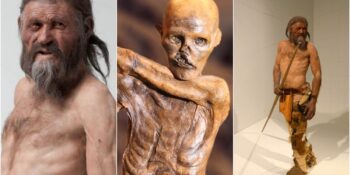 Buz Adam Ötzi: Lanetli Olduğu Düşünülen 5300 Yıllık Mumya Hakkında Bilmeniz Gerekenler