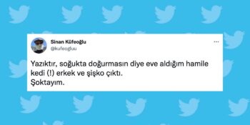 Okurken Keyfinizi Yerine Getirecek Haftanın En Güzel 32 Tweeti