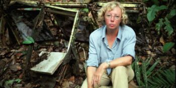 Trajediden Mucizeye: Uçak Kazasından Kurtulan Juliane Koepcke’in İnanılmaz Hikayesi