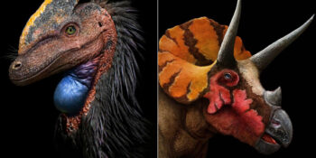 Nesli Tükenen Hayvanların Milyonlarca Yıl Önce Nasıl Göründüğünü Gerçekçi Çizimlerle Tasvir Eden Sanatçıdan 23 Çalışma