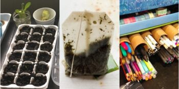 Yumurta Kabuğundan Çay Poşetine: Çöpe Atmak Yerine Tekrar Kullanabileceğiniz 7 Şey