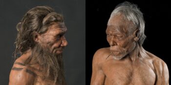 Neandertallerin Sonunu Getiren Modern İnsanların Atası Homo Sapiens Miydi?