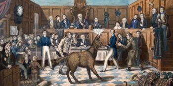 Hayvan Yargılamalarından Dans Salgınlarına: Orta Çağ Döneminin En Tuhaf Fikir Ve İcatları