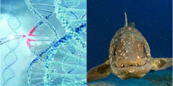 Viagra’dan Big Bang’e: Tesadüfen Keşfedilse De Bilim Dünyasında Çığır Açan 5 Önemli Buluş