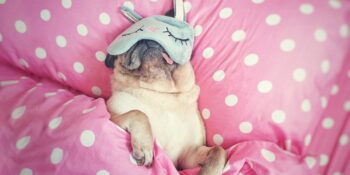 Çin’den İsveç’e: Dünyanın Farklı Bölgelerinde Uygulanan 11 Uyku Öncesi Alışkanlığı