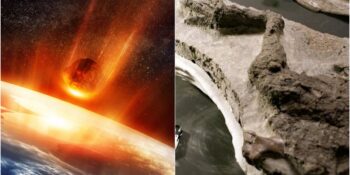 Heyecan Verici Bir Keşif! Dev Gök Taşının Dünyaya Çarptığı Gün Öldüğü Düşünülen Dinozor Fosili Bulundu