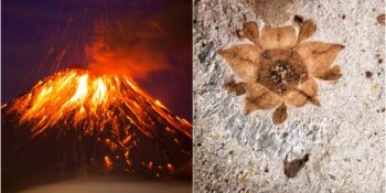 Dünya Hakkında Muhtemelen İlk Defa Duyacağınız 9 Şaşırtıcı Gerçek