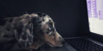 İşkolik Misiniz? Hayatın Her Anını Etkileyen İş Bağımlılığını Nasıl Kontrol Altına Alabilirsiniz?