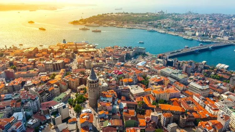 the turkish detective
