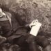 Hayatı, Eserleri, Ölümü: Dünyaca Ünlü Yazar Oscar Wilde Hakkında Bilmeniz Gerekenler