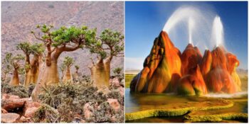 Pembe Plajlardan Büyülü Ormanlara: Gerçek Olduğuna İnanmakta Zorlanacağınız 10 Yer