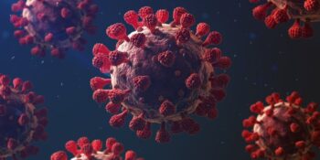 Dünya Sağlık Örgütü’nün Verilerine Göre Türkiye’de Covid-19 Kaynaklı Ölümler Açıklanandan 2,7 Kat Fazla