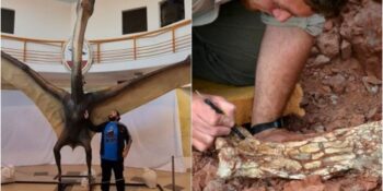 Heyecan Verici Bir Keşif! 86 Milyon Yıl Önce Yaşamış Ölüm Ejderhasına Ait Fosil Kalıntıları Bulundu