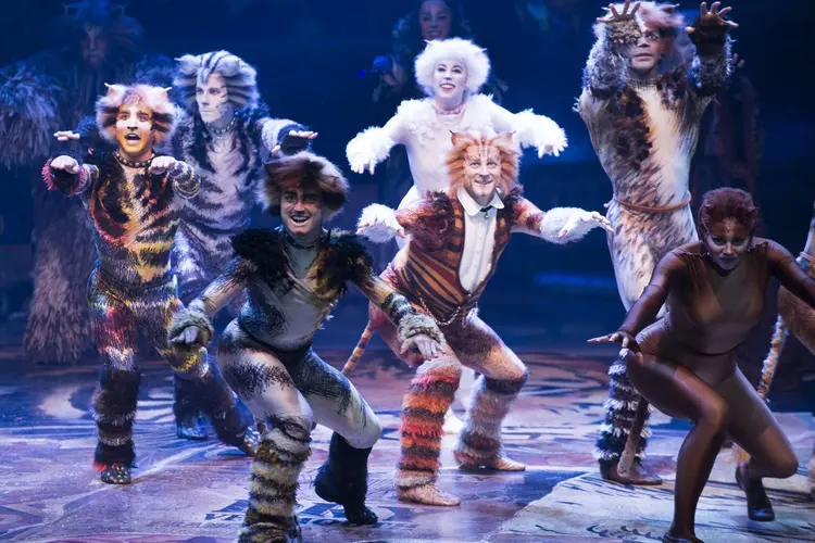 Cats