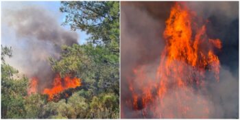 Orman Yangınları Devam Ediyor: Marmaris’teki Yangın Neden Söndürülemiyor?