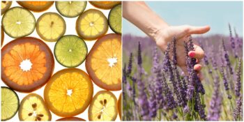 Meyveli Mi Şekerli Mi? Burcunuza Göre Size En Çok Yakışan Koku Hangisi?