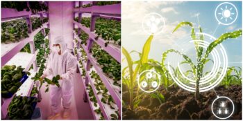 Gıda Krizi Kapıda: İnsanlığı Besleyebilmek İçin Yeni Üretim Yöntemleri Üzerinde Çalışılıyor