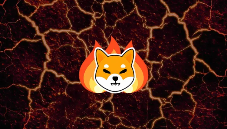 Shiba Inu