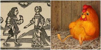 Korkak Ve Çekingen İnsanlara Neden “Korkak Tavuk” Yakıştırması Yapıyoruz?