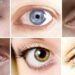Göz renkleri