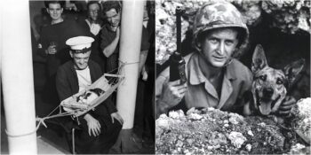 Lojistikten Haberleşmeye: Üstlendikleri Rollerle İkinci Dünya Savaşı’nın Seyrini Değiştiren 8 Hayvan