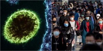 Çin’de Ortaya Çıkan Yeni Tehdit: Langya Virüsü Hakkında Bilmeniz Gerekenler