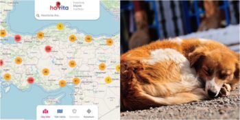 Sosyal Medya Kullanıcılarını İkiye Bölen Havrita Nedir, Neden Kapatılması İsteniyor?