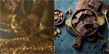 Uzmanlar Açıkladı! Bitter Çikolata Gerçekten Sağlıklı Mı?