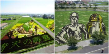 Inakadate: Pirinç Tarlalarının Adeta Birer Sanat Eserine Dönüştürüldüğü Japon Köyü