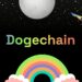 Dogechain Nedir? Proje DOGE Tarafından Mı Oluşturuldu?