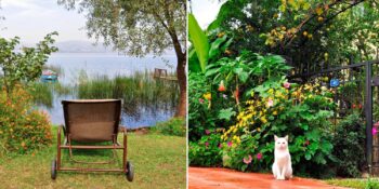 Doğada Kısa Bir Mola: Sapanca’da Mutlaka Görülmesi Gereken 8 Yer