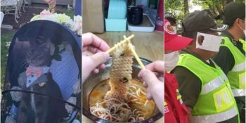 “Ben Şimdi Ne Gördüm” Dedirtecek Birbirinden Tuhaf Ve Komik 21 Fotoğraf