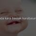 Saçma komik sorular
