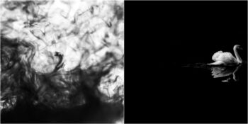 Siyah Renk Hakkında Muhtemelen Daha Önce Duymadığınız 15 Şaşırtıcı Gerçek