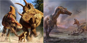 Tarihin En Görkemli Canlıları Dinozorlar Hakkında Bilmeniz Gereken 30 Şaşırtıcı Gerçek