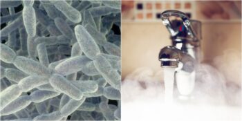 Hastane ve Otel Gibi Büyük Yapılarda Bulaşan Lejyoner Hastalığı Hakkında Bilmeniz Gerekenler