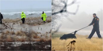 Kimliği Yıllardır Tespit Edilemeyen Korkunç Bir Cani: Long Island Seri Katili
